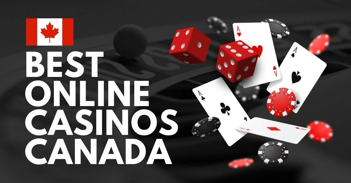 Wild casino best slots